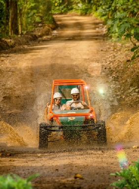 Un paraíso de aventura con tirolesas, buggy tours, saltos en cenotes y más, rodeado de naturaleza
Bavaro Adventure Park