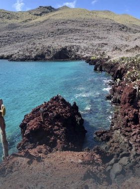 En este tour por la parte alta de la Isla Santa Cruz visitaremos los lugares más icónicos de este paraíso de las Galápagos. ¡Un día en la naturaleza!
Parte Alta de la isla