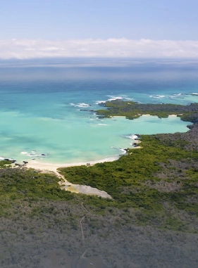 se encuentra en la isla Santa Cruz de Galápagos, se caracteriza por su arena dorada, sus tranquilas aguas y una gran biodiversidad.
Playa garrapatero