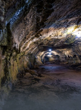 Actividad muy recomendada, aquí podrás observar tortugas gigantes y los túneles de lava son majestuosos.
Túneles de Lava