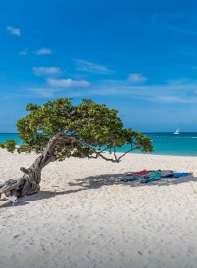 Esta plata tiene casi dos kilómetros de largo, con arena fina y aguas cristalinas son perfectas para practicar snorkel, nadar y navegar en kayak. Costo adicional
Playa Tortuga Bay