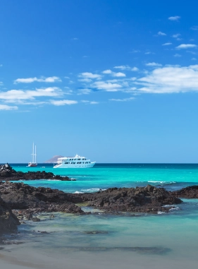En este tour podrás conocer los puntos más destacados que tiene Puerto Ayora en la isla Santa Cruz. Costo adicional
Tour por la Bahía