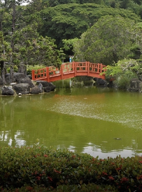 Si quieres escaparte del ruido estando en una zona céntrica, El Jardín Botánico es es lugar. Jardín Botánico