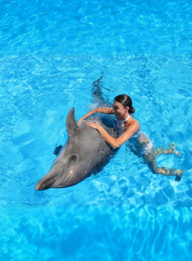 Nado con Delfines Premium 2x1