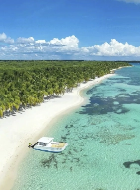 Saona Isla Catamar&aacute;n